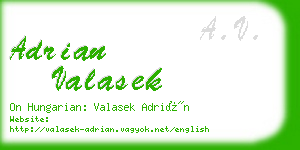 adrian valasek business card